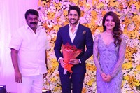 Naga Chaitanya and Samantha Wedding Reception Photos